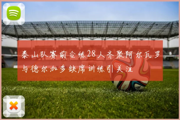 泰山队赛前合练28人齐聚阿尔瓦罗与德尔加多缺席训练引关注